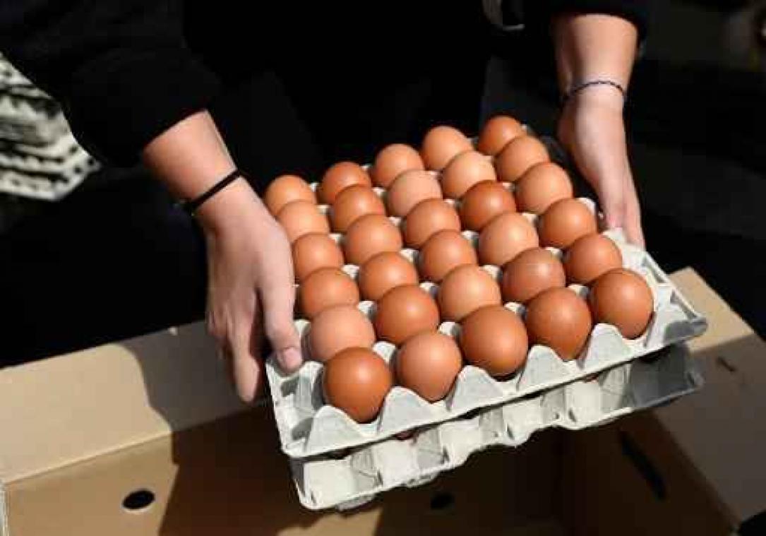 Borsus moet uitleg komen geven in parlement over fipronilcrisis Borsus moet uitleg komen geven in parlement over fipronilcrisis