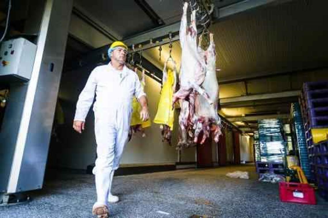 Offerfeest - Voorlopig een derde minder aanvragen voor slachtvergunningen in Antwerpen