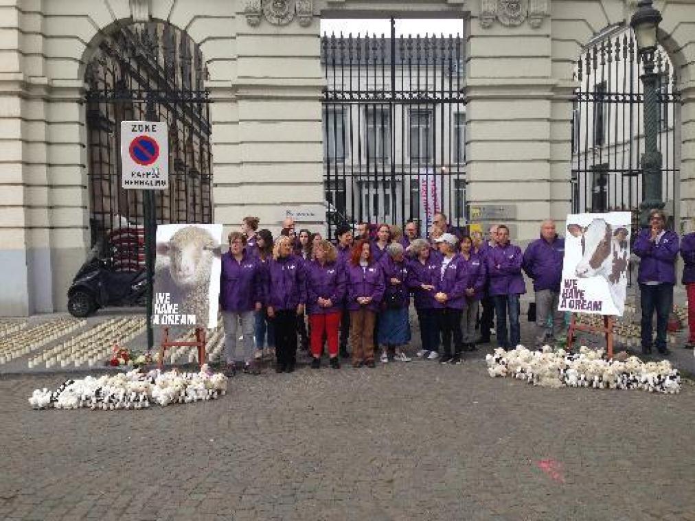 Gaia doet nachtje door voor Brussels verbod op onverdoofd slachten