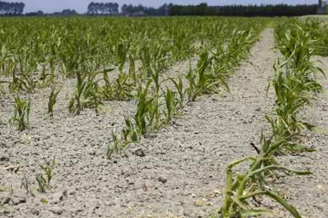 Al een jaar lang uitzonderlijke droogte in België