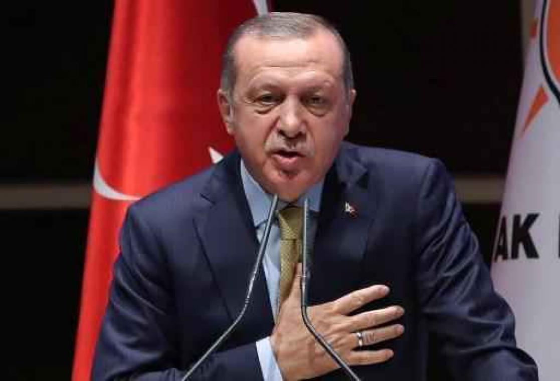 Erdogan: "Duitse uitspraken doen denken aan nazisme"