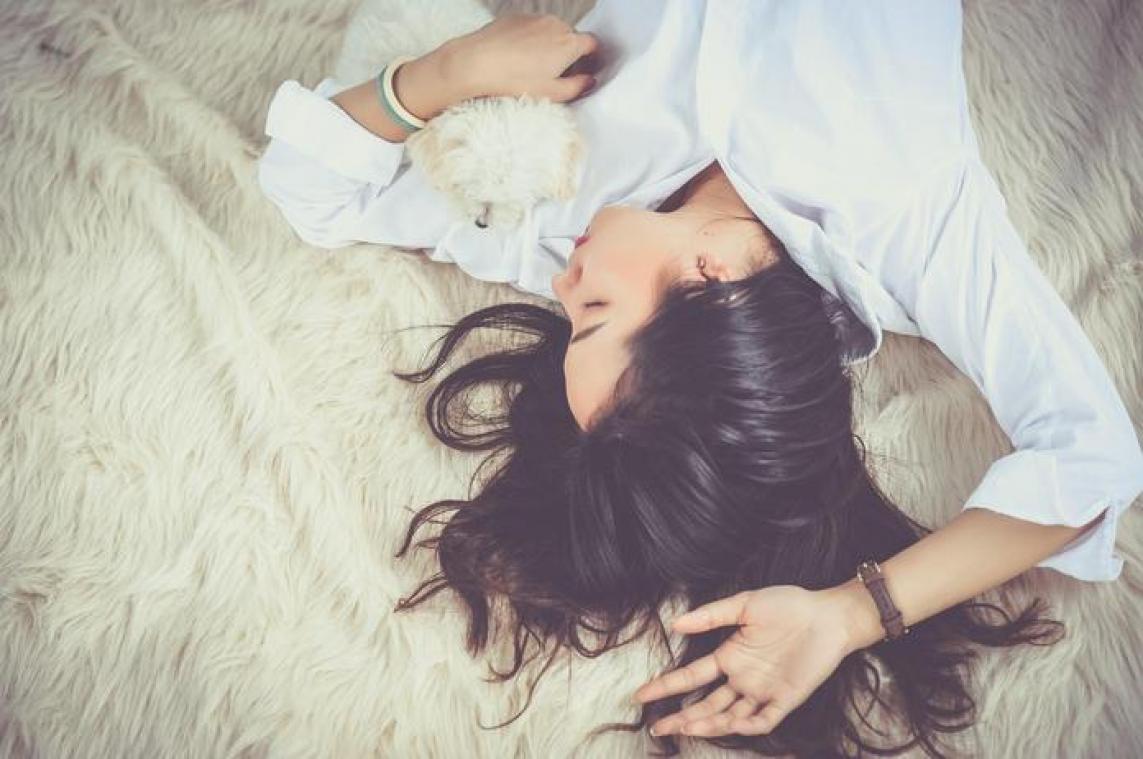 Met hond in bed slapen is goed voor nachtrust