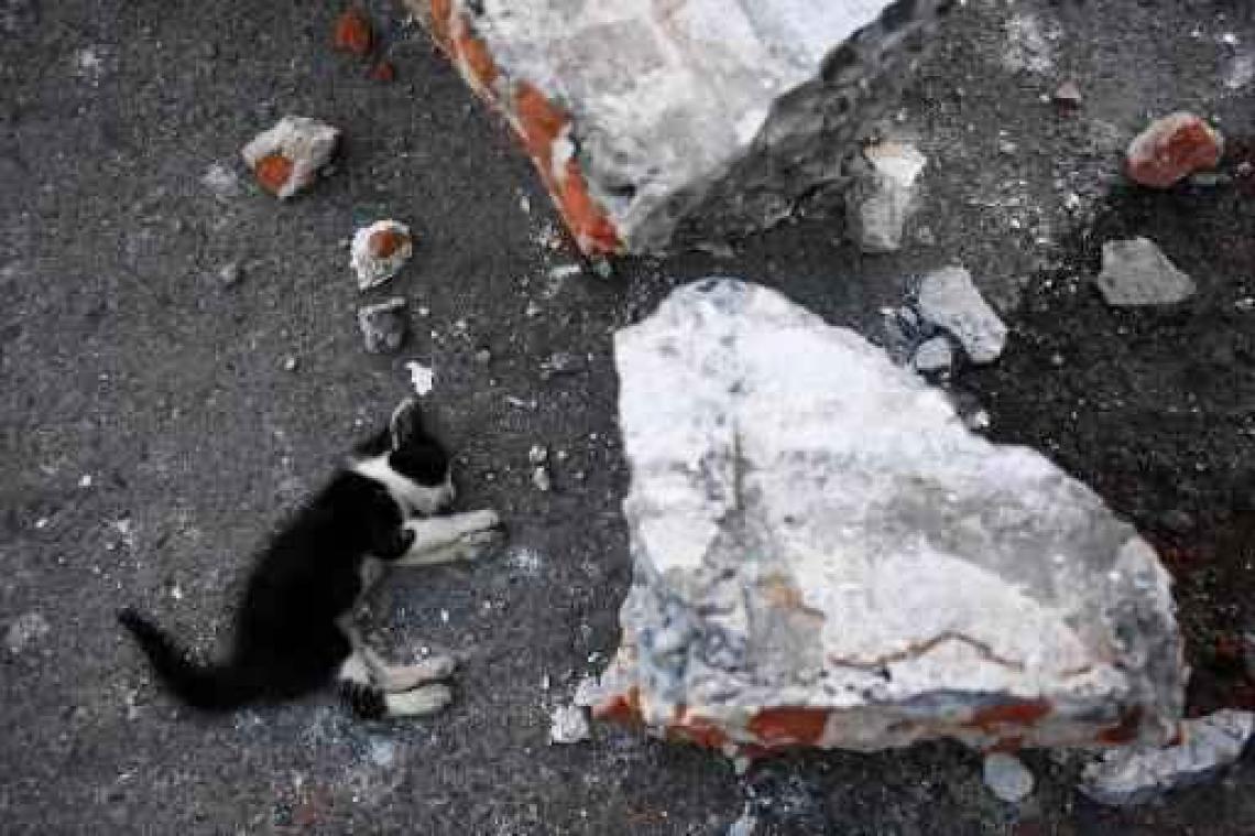 Dodentol na aardbeving Mexico stijgt tot 96