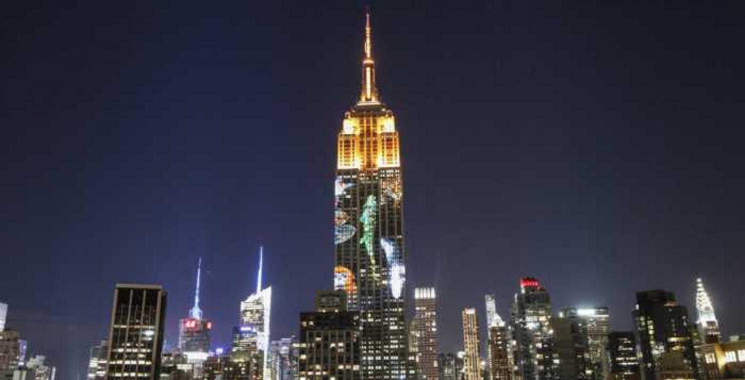 IN BEELD. Empire State Building canvas voor bedreigde diersoorten