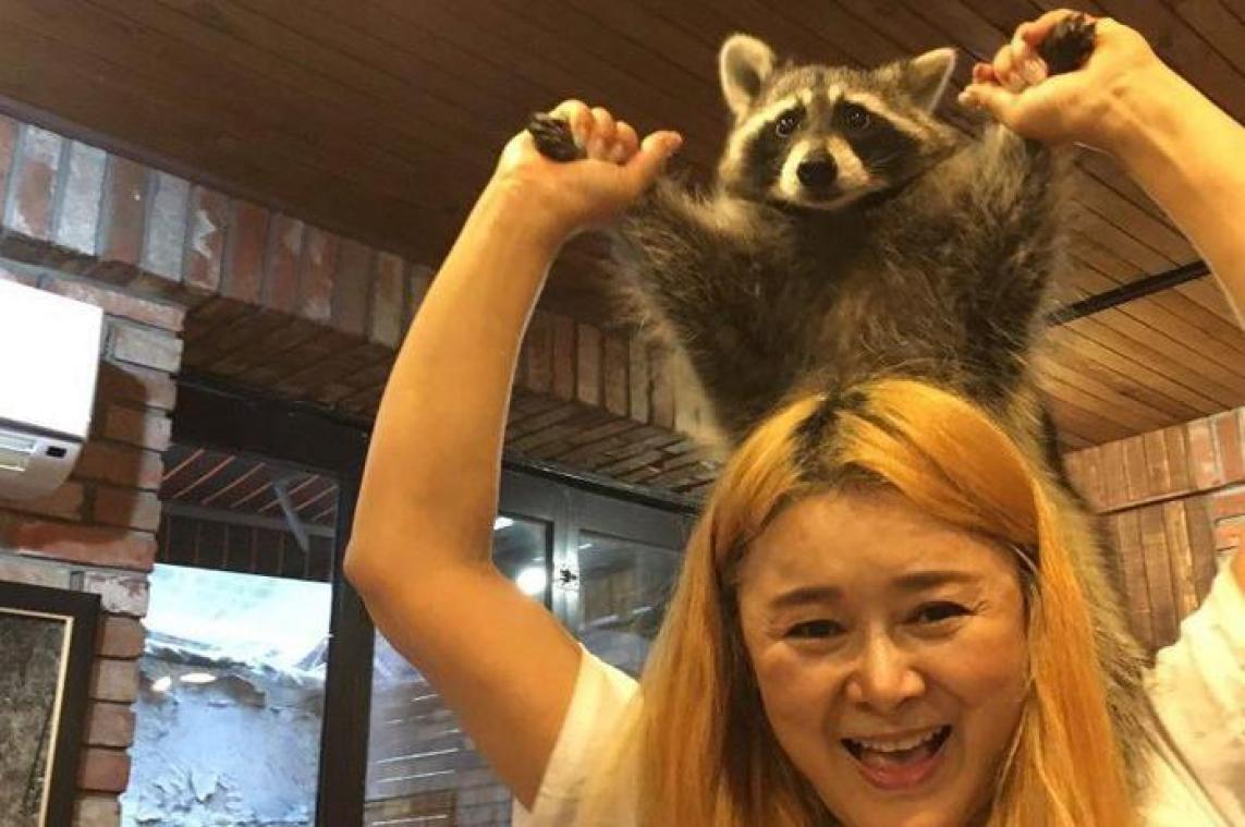Vergeet kattencafés, in Seoel is er een wasberenbar