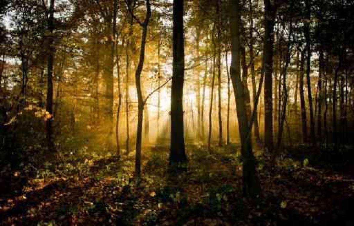 Zacht herfstweer in aantocht