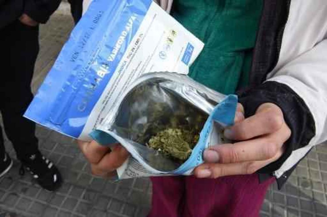 PS dient wetsvoorstel voor regularisering cannabis in