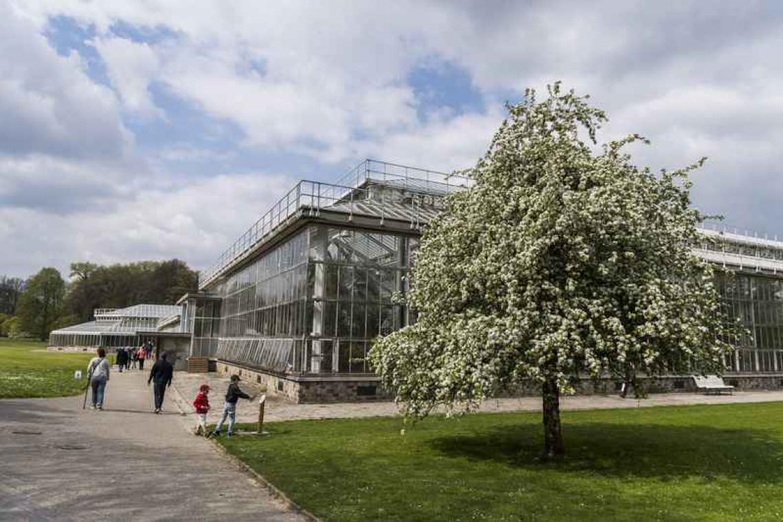 Plantentuin Meise viert negen weken lang zijn renovatie