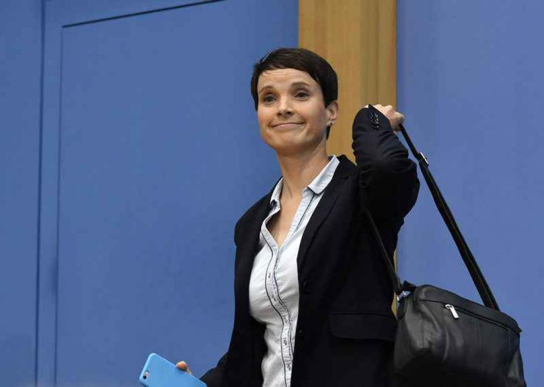 AfD stevent nu al af op interne breuk
