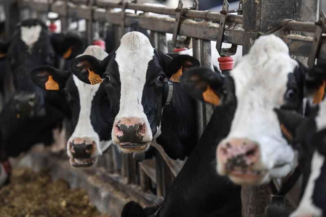 Er liggen nog te veel antibiotica op ons bord