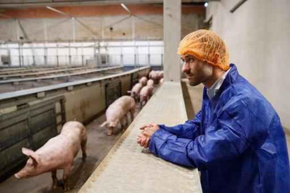 Provincie zal uitbreiding slachthuis Tielt toestaan