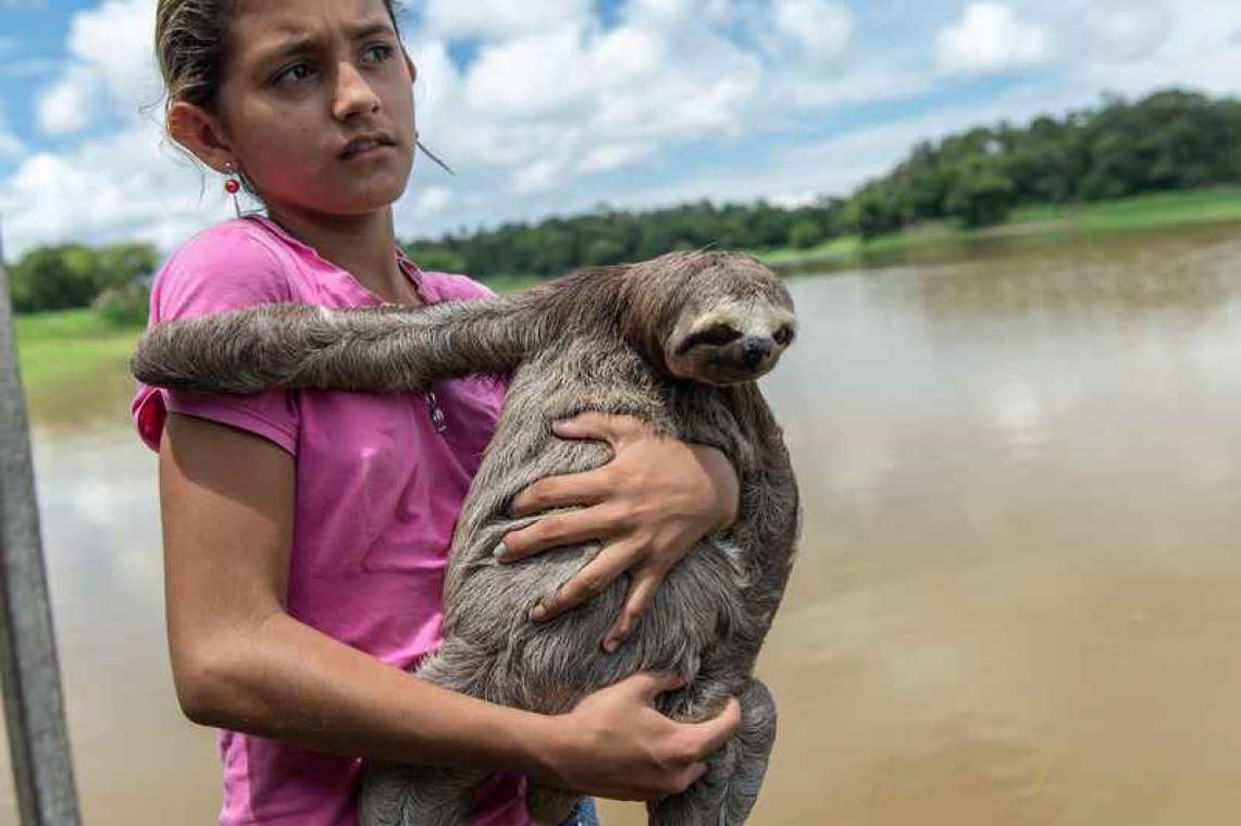 Selfies met wilde dieren zijn niet zo onschuldig als ze lijken