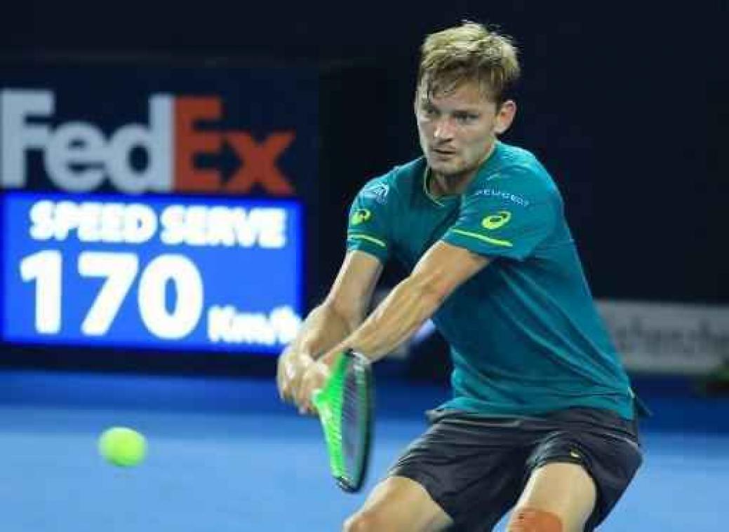 David Goffin worstelt zich voorbij qualifier naar kwartfinales op ATP Tokio