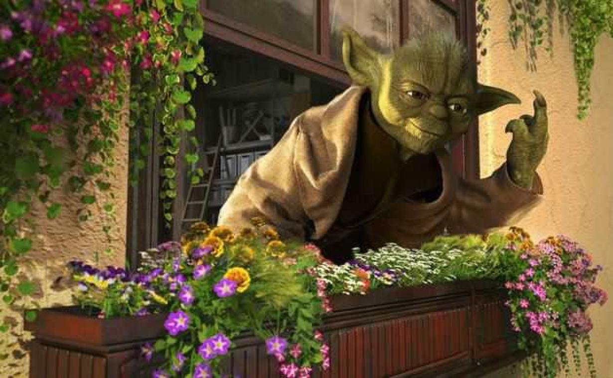 IN BEELD. Star Wars-figuren op vakantie