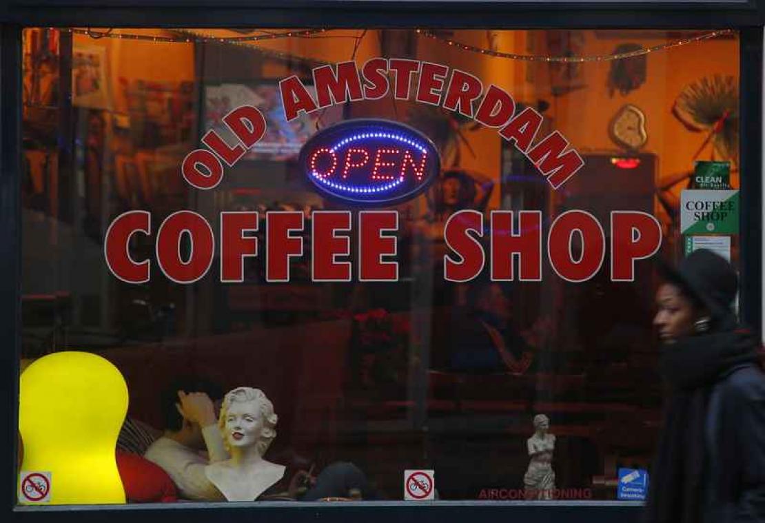 Nederland wil legale wietteelt mogelijk maken
