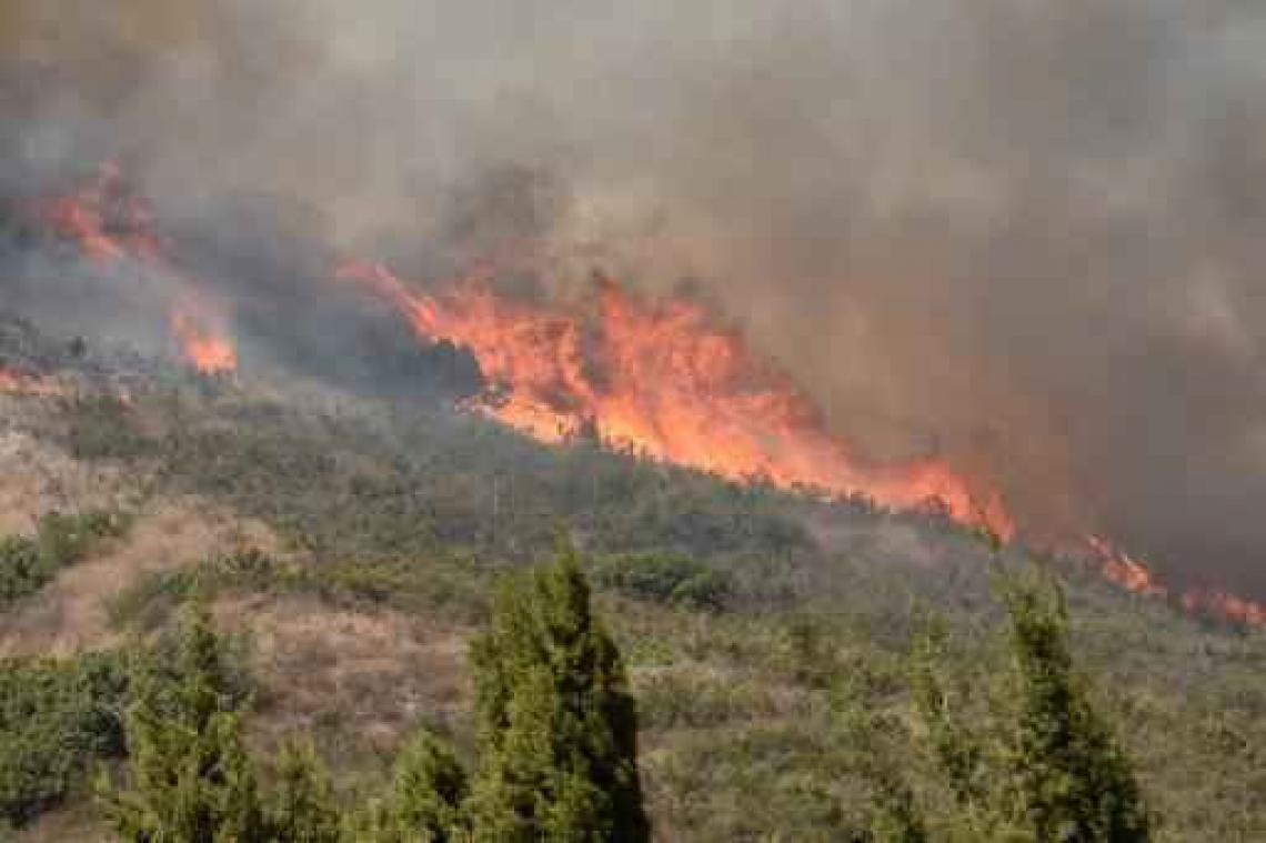 Al tien doden bij natuurbranden in Californië