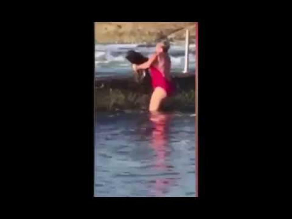 VIDEO. Australische vrouw redt haai met blote handen