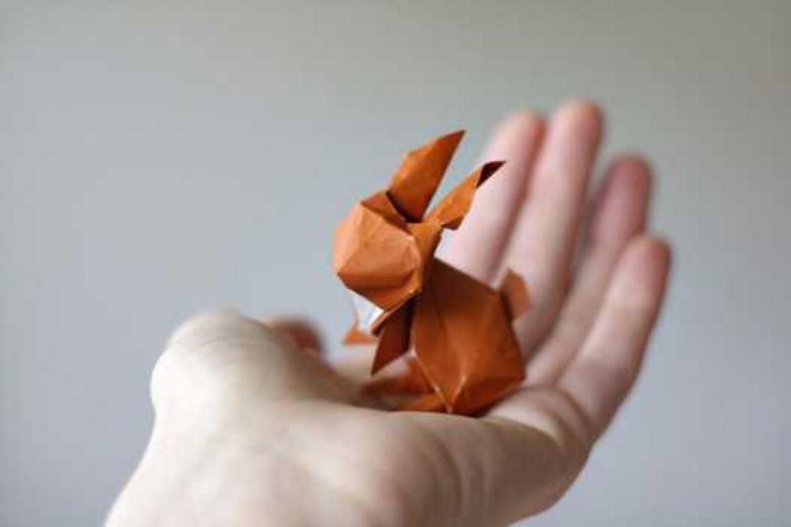 IN BEELD. Metro waagt zich aan wat origami