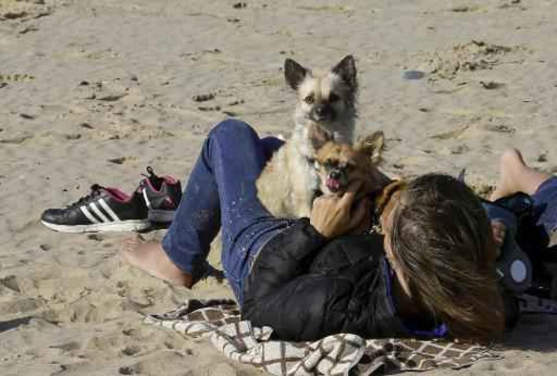 Met 24,4 graden beleven we de warmste 15 oktober ooit