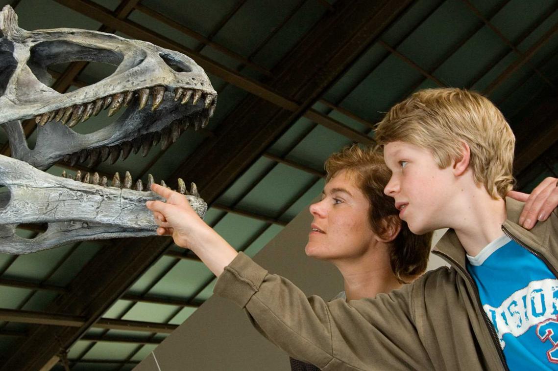 Dansjes en dino's: de laatste vakantie-uitjes