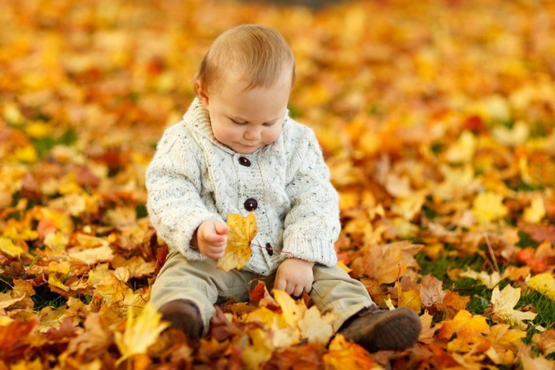 De herfst vraagt om vitamine D