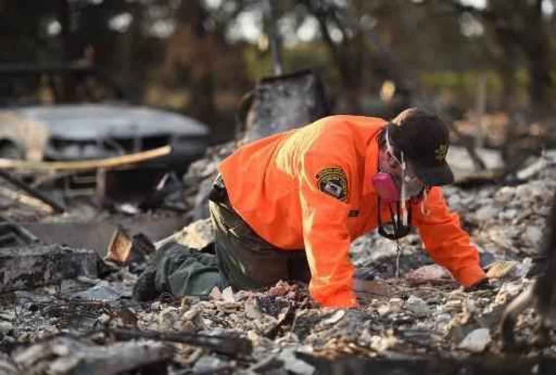Natuurbranden Californië - Al 41 bevestigde doden