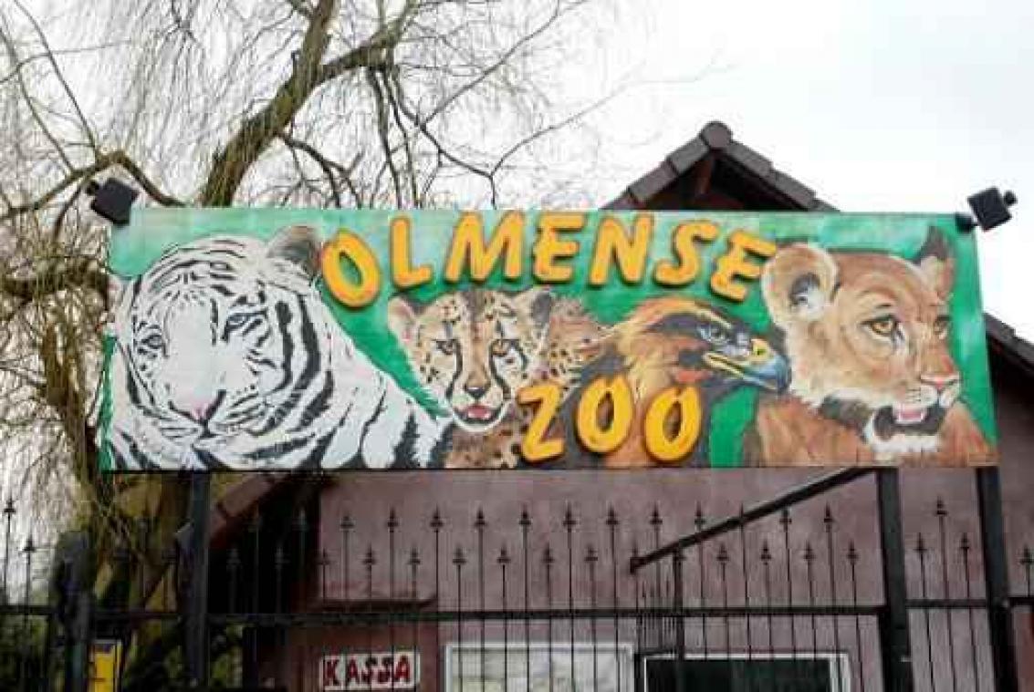 Gerecht voert onderzoek naar Olmense Zoo