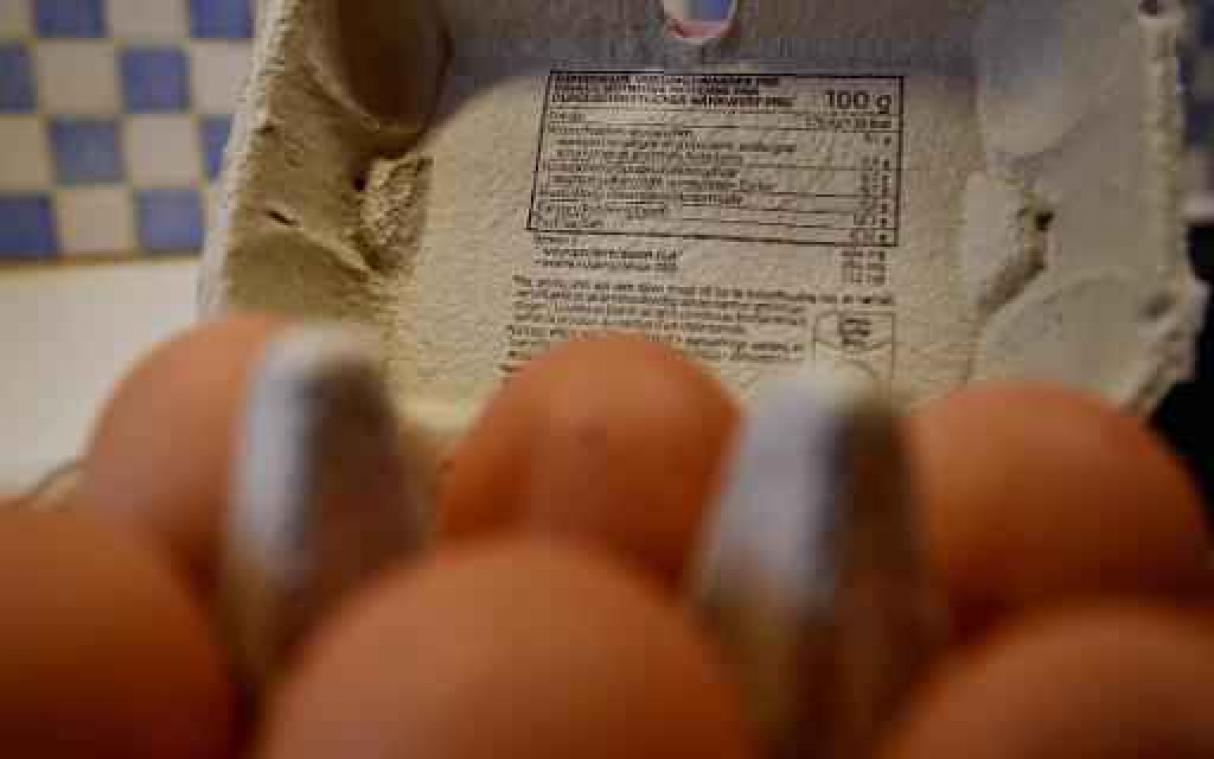 Nog altijd ruim 300 kippenbedrijven geblokkeerd in Nederland