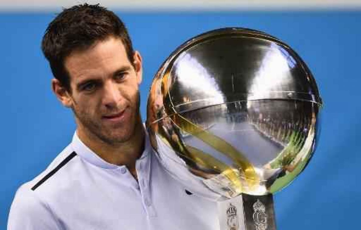 ATP Stockholm - Argentijn Del Potro behoudt zijn titel ten koste van Dimitrov