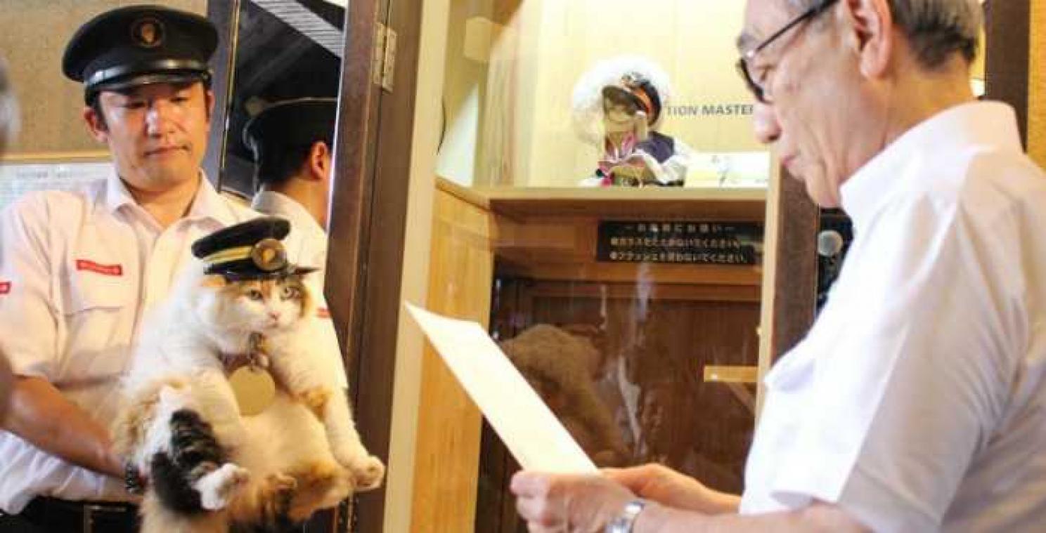 Japans station stuurt zijn kat in plaats van de stationschef