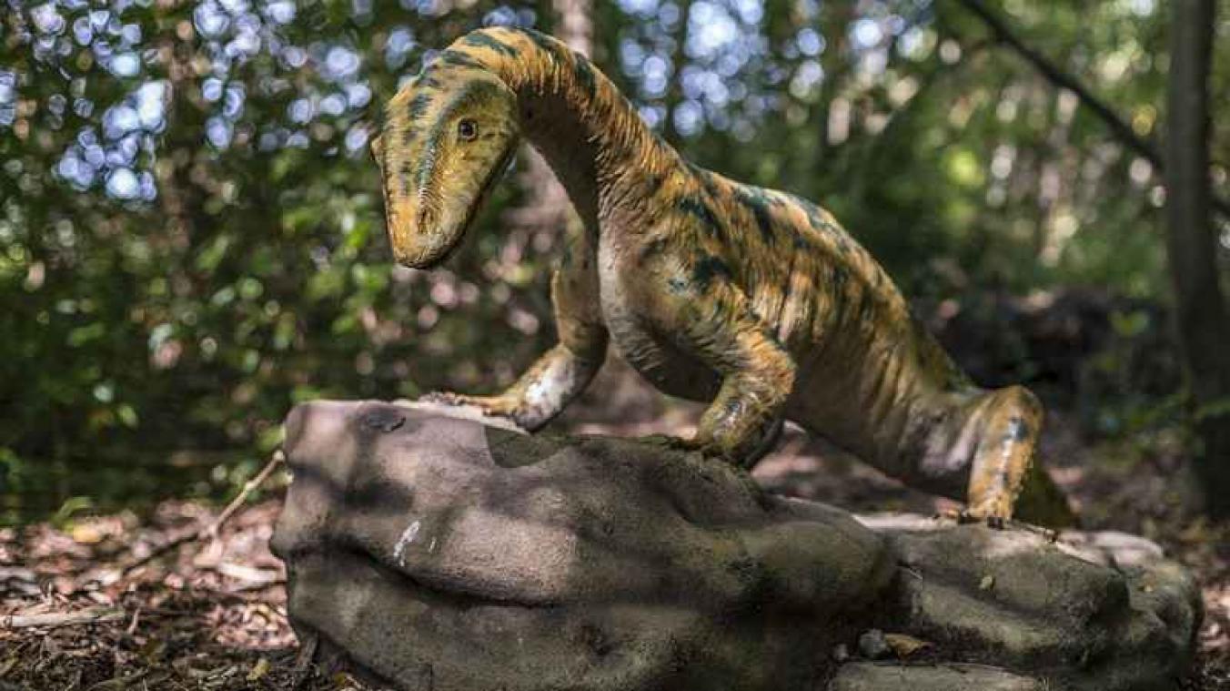 Ook dinosaurussen knuffelden graag