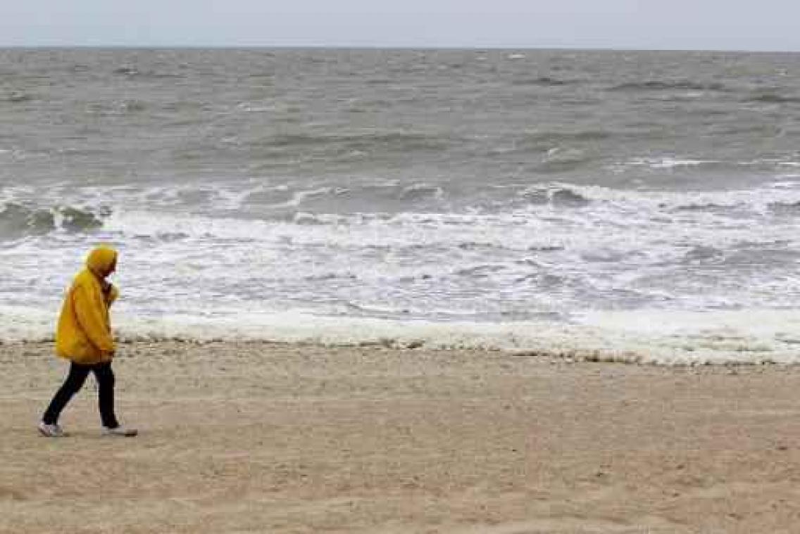 Veel minder leven in Noordzee door sleepnetten