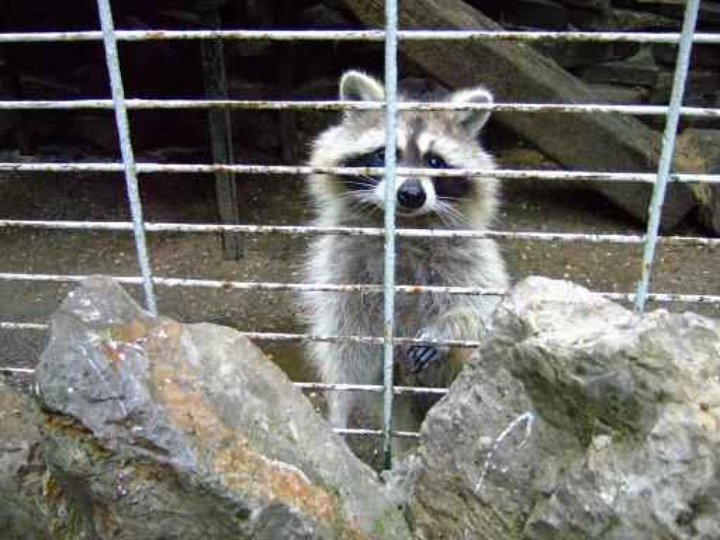 Nieuwe directie moet voortbestaan Olmense Zoo verzekeren