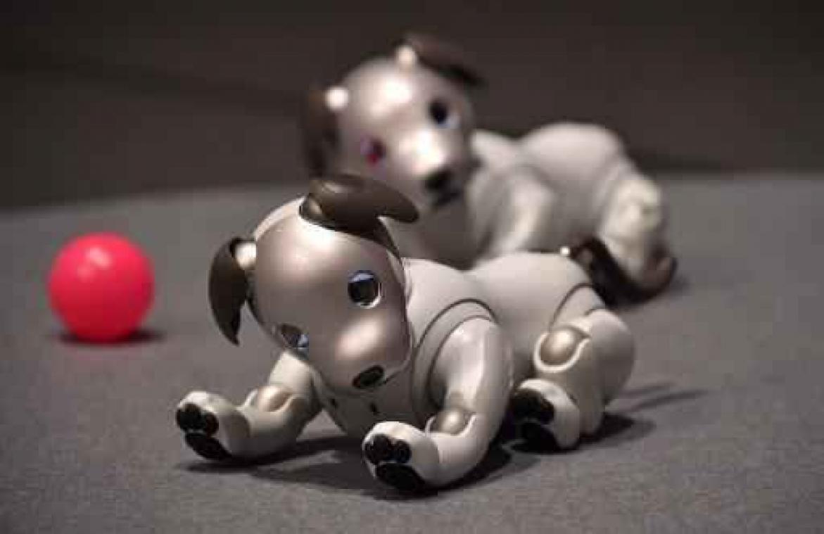 Sony brengt robothond opnieuw op de markt