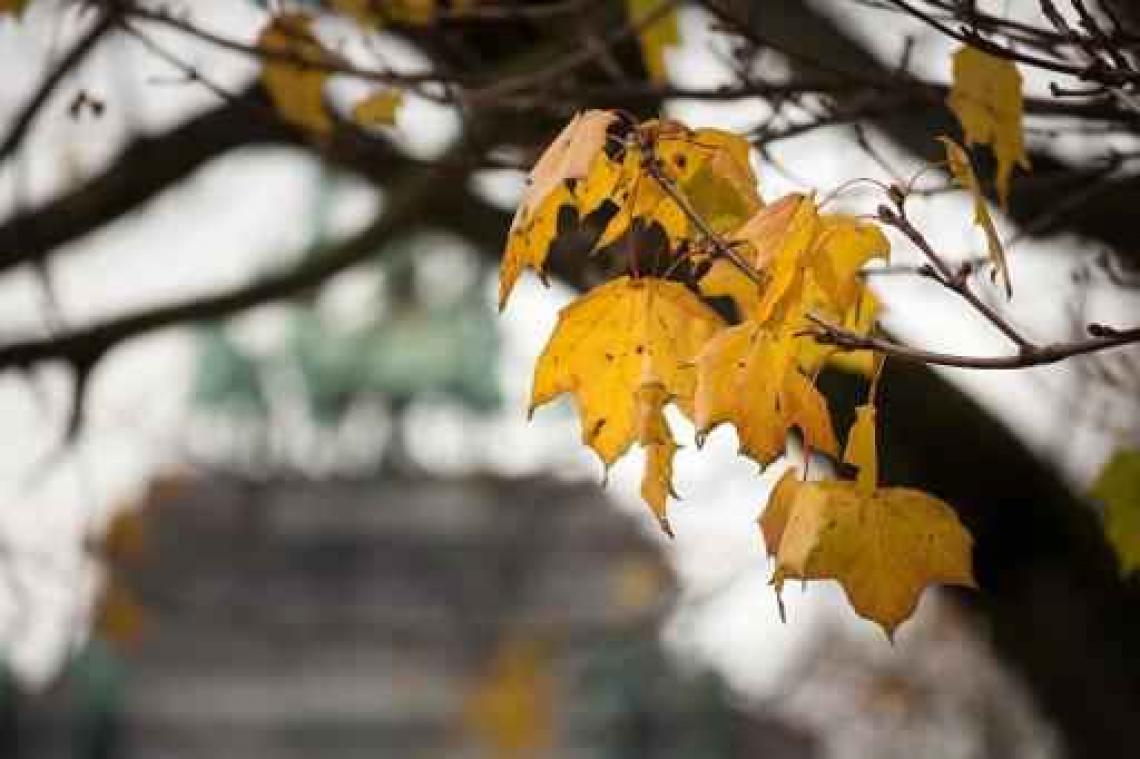 Kwik neemt vanaf zondag een duik