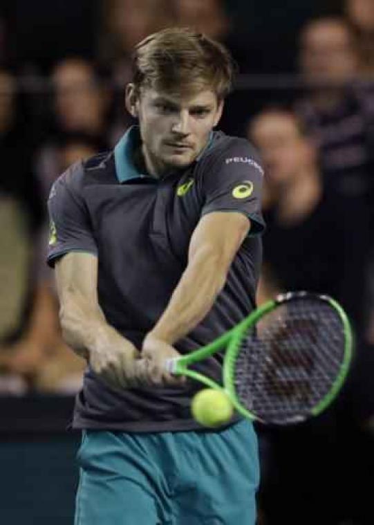 Del Potro overleeft kwartfinales Parijs-Bercy niet, Goffin schuift op naar 8e plaats op ATP-ranking