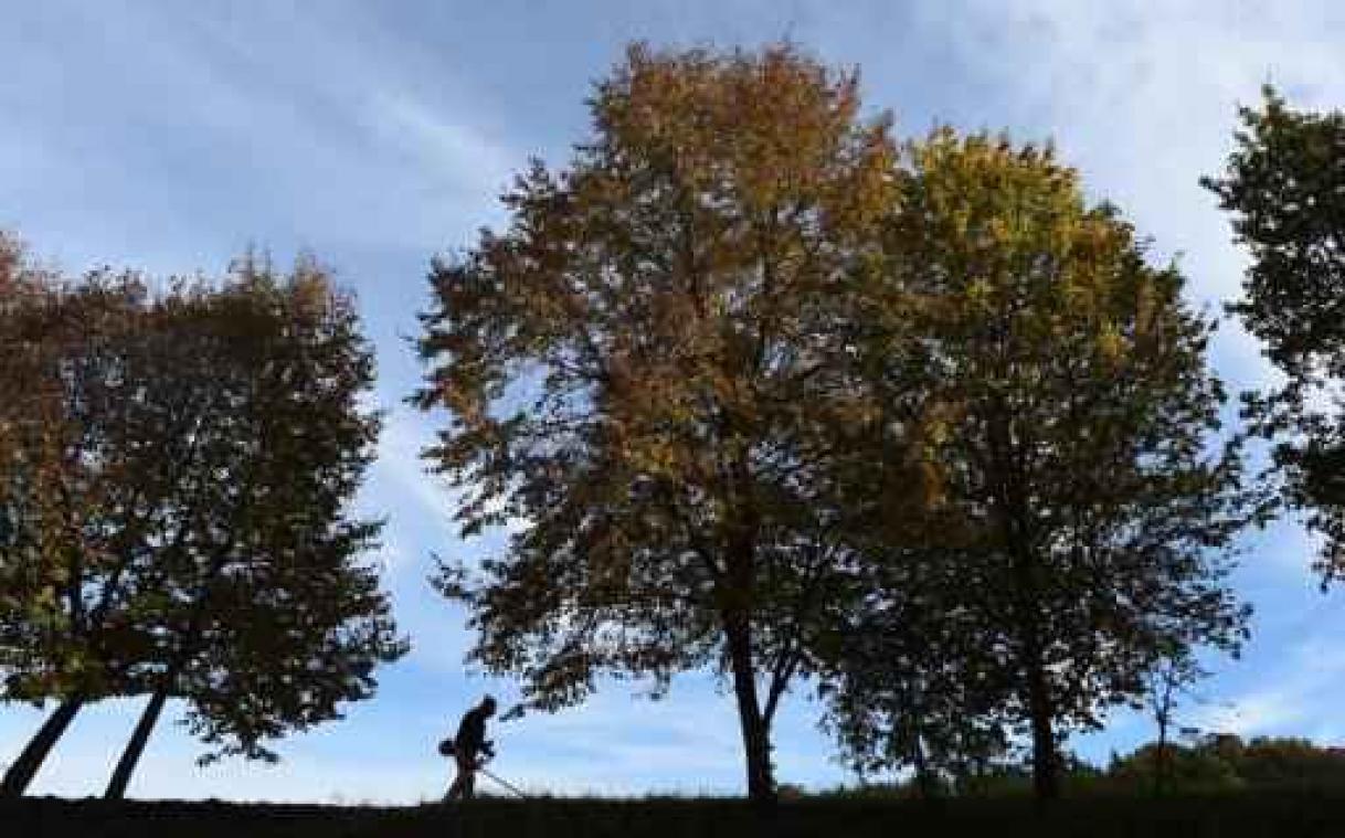 Zonnige dinsdagnamiddag