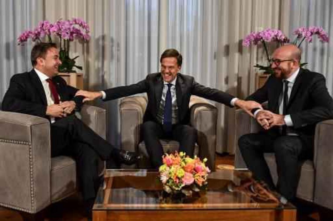 Nederlandse premier Rutte "wil België niet achterna"