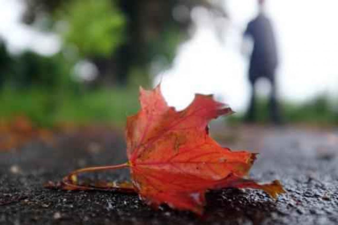 Weerbericht: nog enkele lokale buien