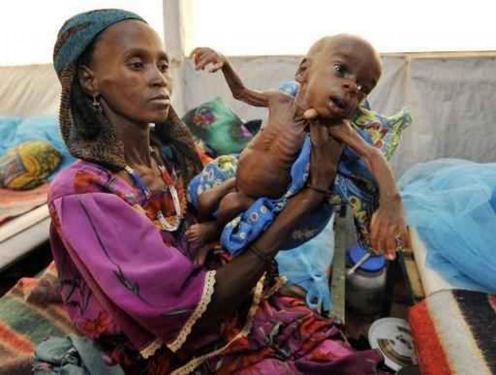Humanitaire crisis treft 12 miljoen personen in Sahelregio