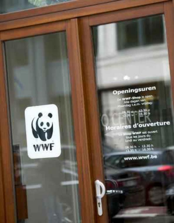 "Biodiversiteit is blinde vlek in klimaatplannen"