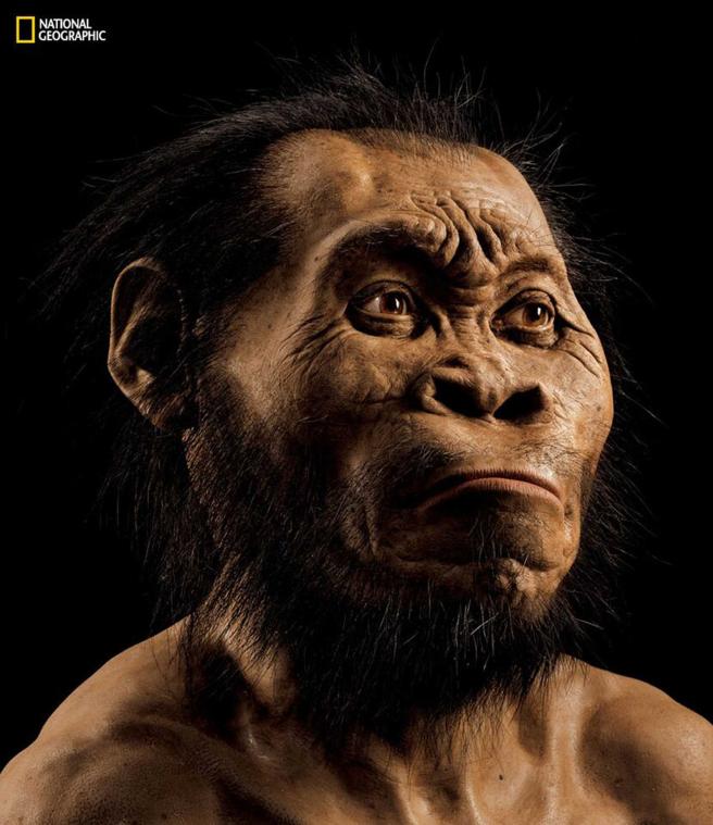 Homo naledi, de nieuwe voorouder van de mens