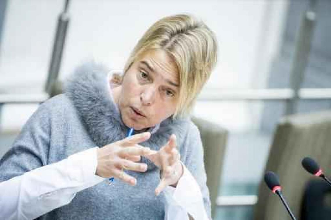 Vlaams-Nederlandse alliantie voor statiegeld op PET-flessen en blikjes