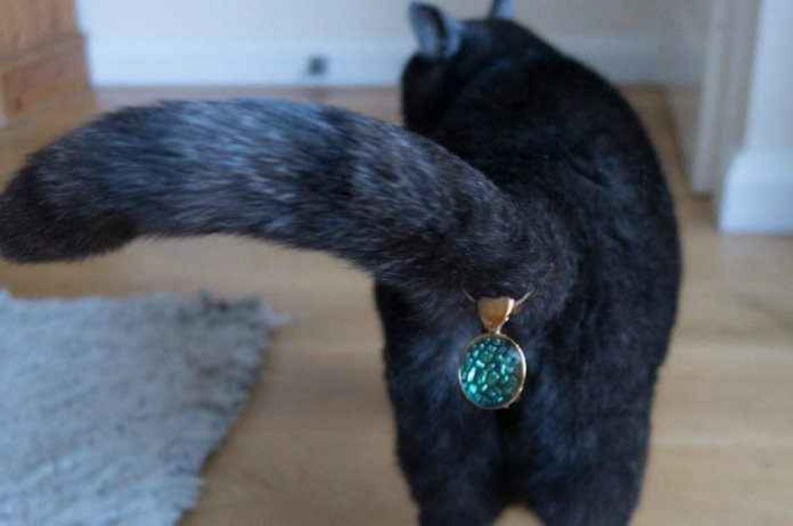 Er zijn nu ook juwelen voor kattenpoepen