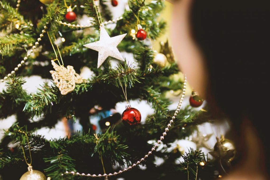 Er leven blijkbaar 25.000 insecten in een kerstboom