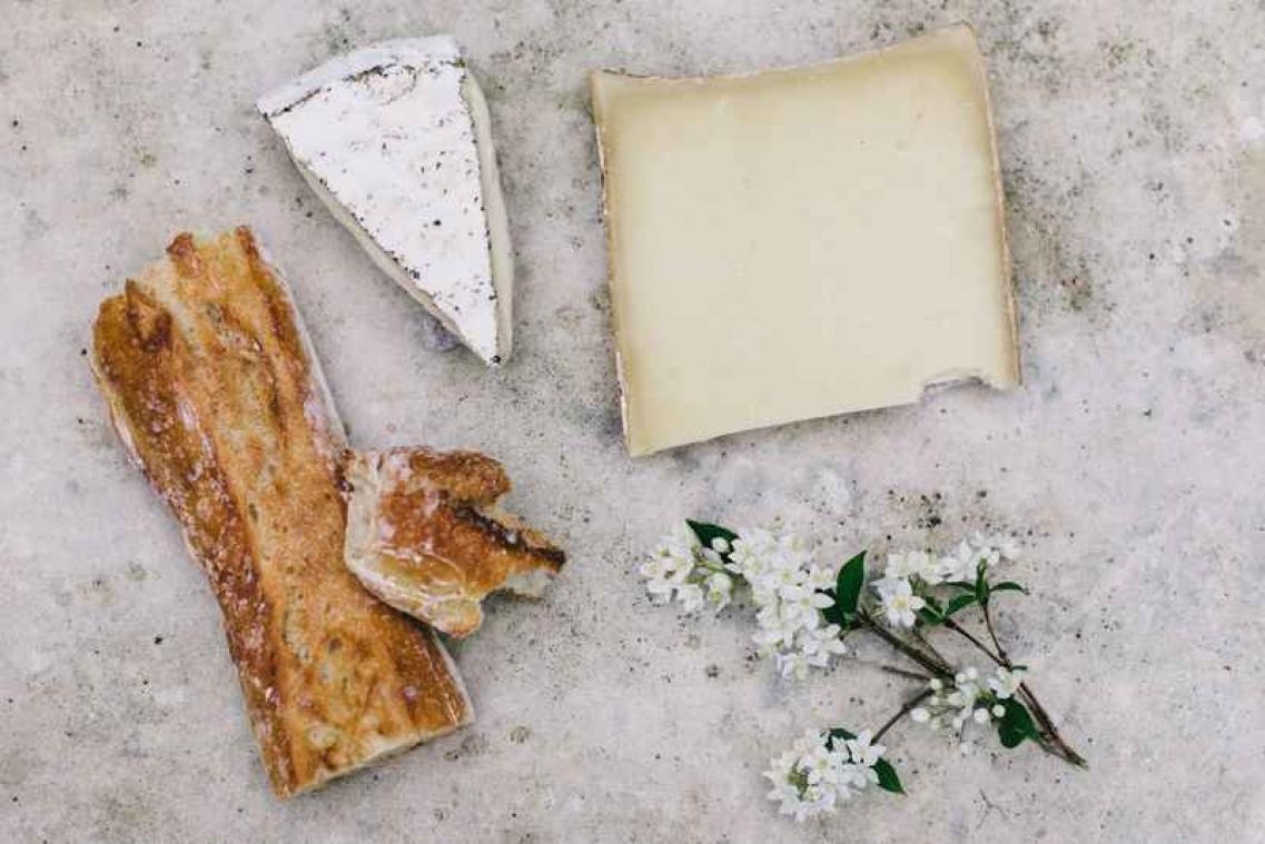 Wetenschappelijk bevestigd: elke dag kaas eten is gezond