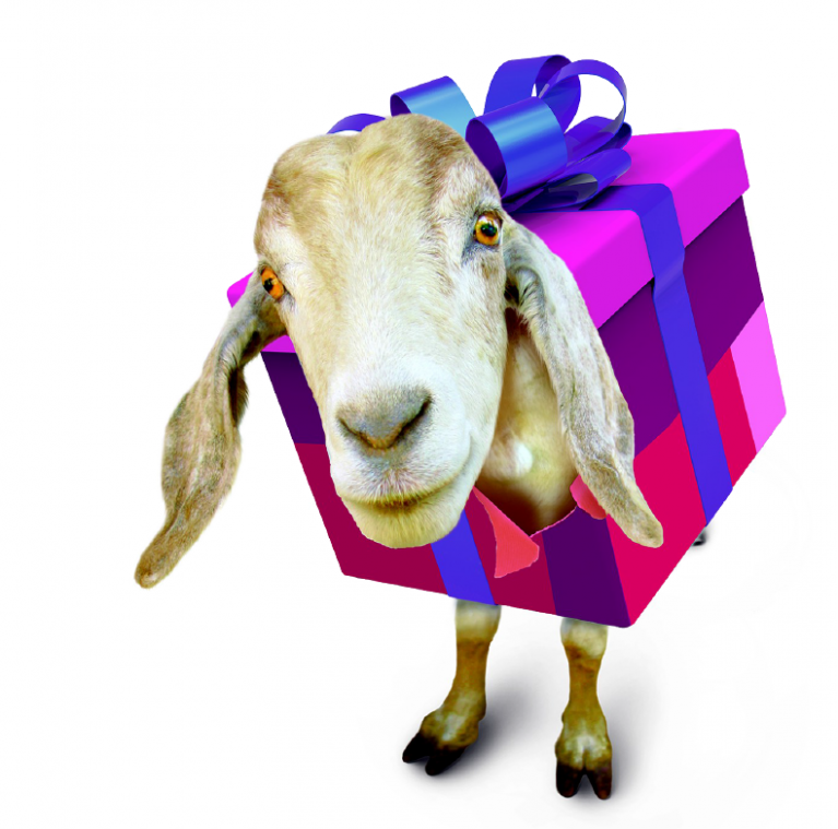Met zekergeit' het tofste cadeau!