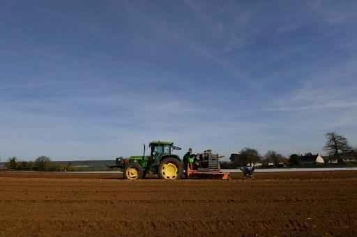 EU-Parlement wil Europese landbouwers weerbaarder maken tegen supermarkten