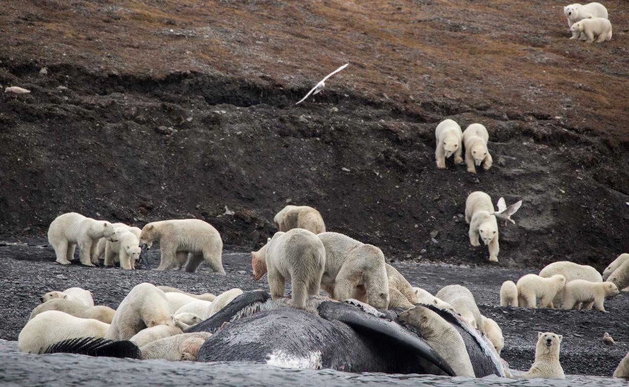 "Klimaatopwarming is enige oorzaak van extreem weer"