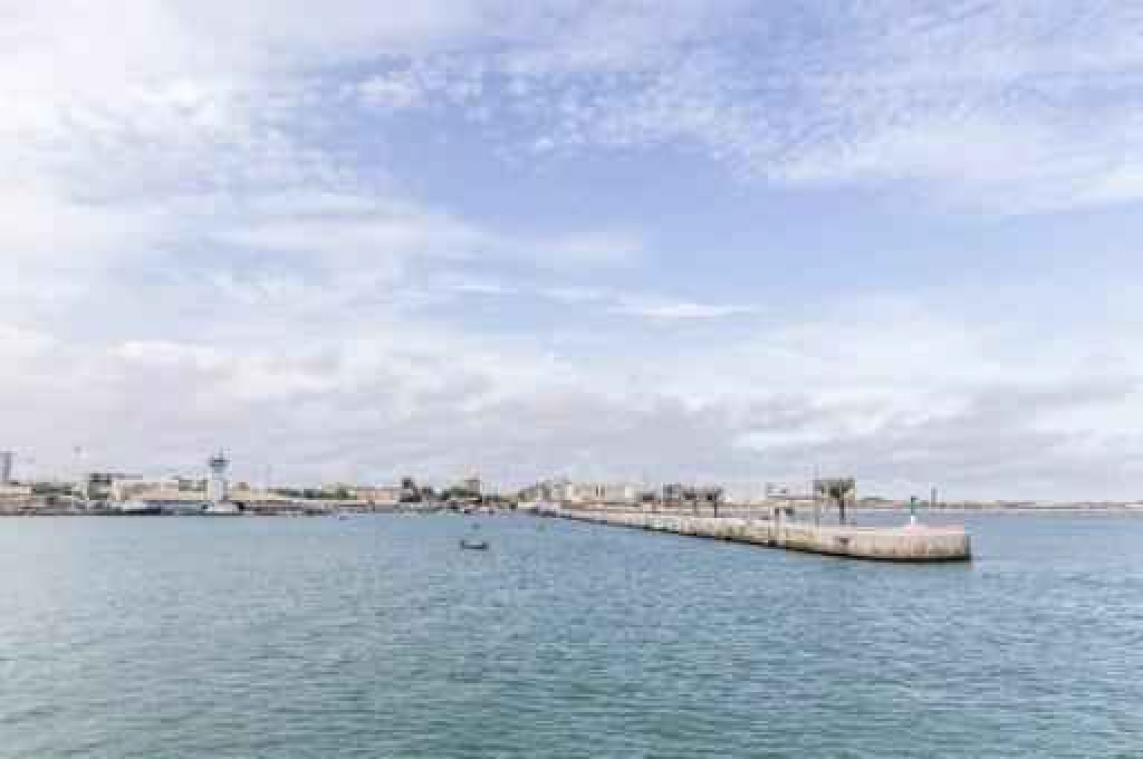 Antwerpse haven neemt tijdelijk management van haven Cotonou over